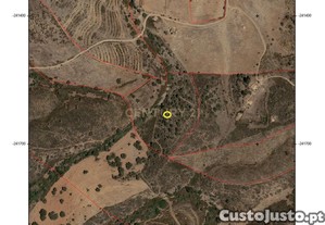 Terreno Rstico com 2,5 Hectares   Santana da Serra