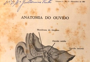 Brochura Informações de Saúde Escolar para Professores: Anatomia do Ouvido