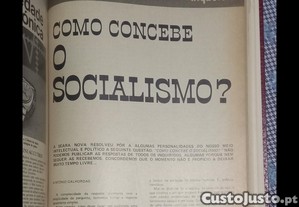 imagem_7