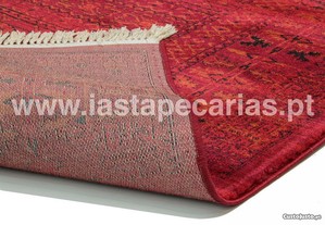 imagem_3
