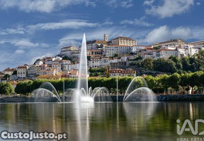 imagem_21