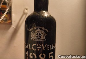 imagem_1