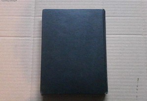 imagem_3