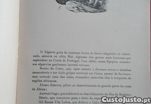 imagem_3