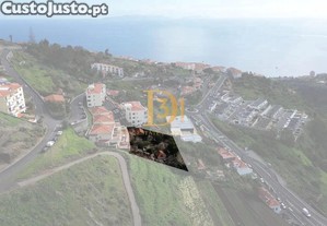 imagem_5
