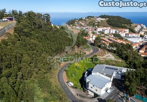 imagem_7