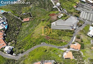 imagem_19