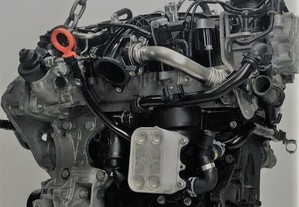 Motor VW CADDY IV Box (SAA, SAH) 2.0 TDI 4motion | 05.15 - Usado REF. CFHC