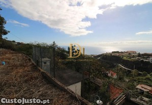 imagem_25