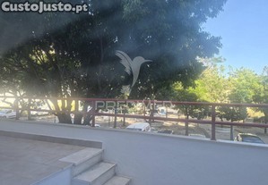 imagem_14
