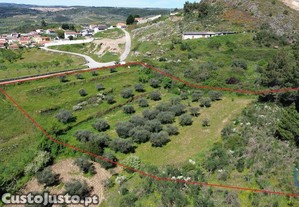 Terreno em Veiga de Lila de 6180,00 m