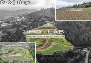 Armazm + 25.566M2 De Terreno Cultivado - So...