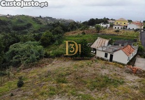 imagem_29