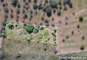 Terreno Rústico Com 1390 M² Na Zona De Lagoão