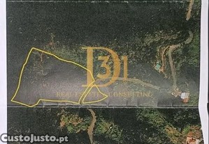 imagem_22