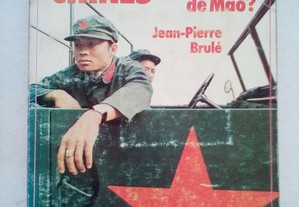 O Exército Chinês o "Herdeiro" de Mao?