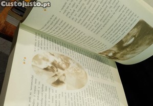 imagem_7