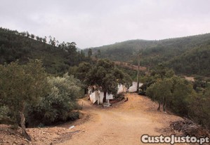 imagem_11