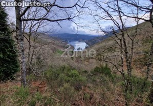 Terreno Montalegre