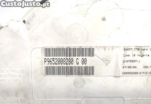 imagem_3