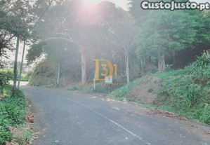 imagem_14