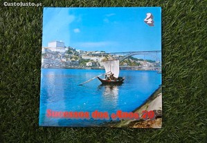 Disco vinil LP - Sucesso dos Anos 70 4