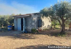 Quintinha com 5000 m2 para