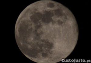 imagem_7
