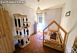 imagem_24