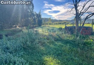 Terreno De Construao- Lameira, Ortigosa