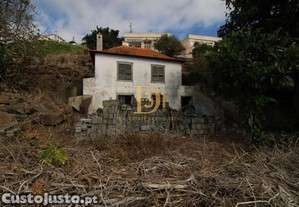imagem_7