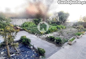 imagem_15