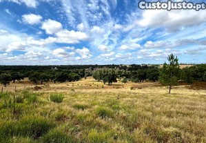 Quinta em Lavre com vários Montes