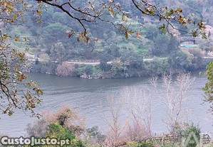 Terreno misto em São Cristóvão de Nogueira