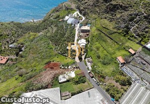 imagem_21