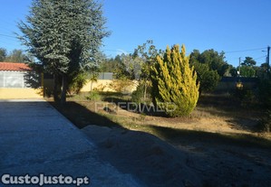 imagem_16
