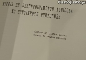 imagem_11