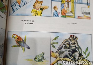 imagem_4