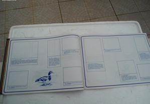 imagem_2