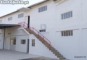 imagem_19
