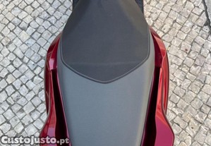 imagem_19
