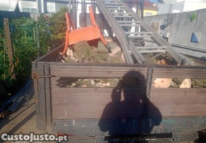 imagem_2