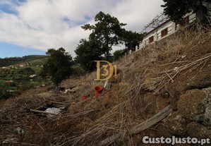 imagem_14