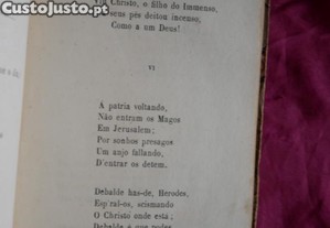 imagem_5