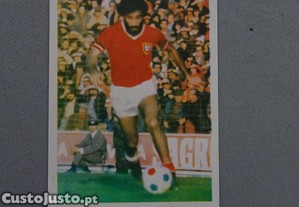imagem_1