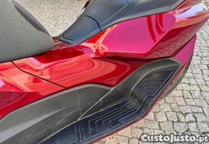 imagem_13