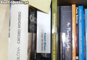 imagem_2