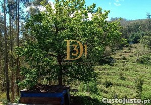 imagem_6