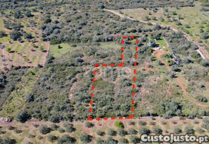 Terreno Rústico Com 2.820 M² Na Zona Da Franqueira