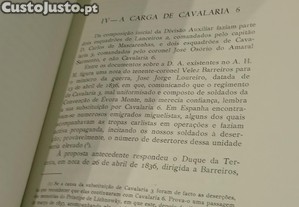 imagem_7